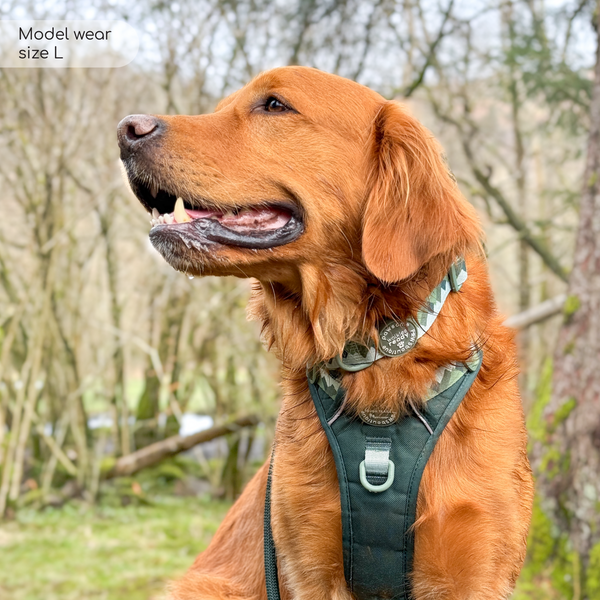 Tough Trails™ Harness - Walkies Ready® Forest Green