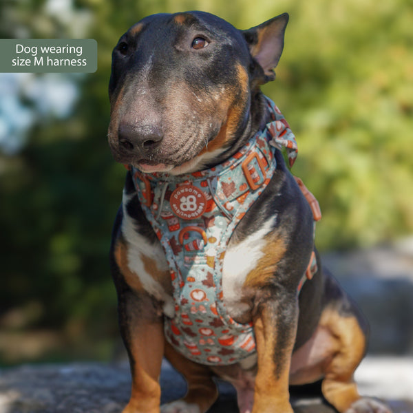 Tough Trails™ Harness -  Pumpkin Spice