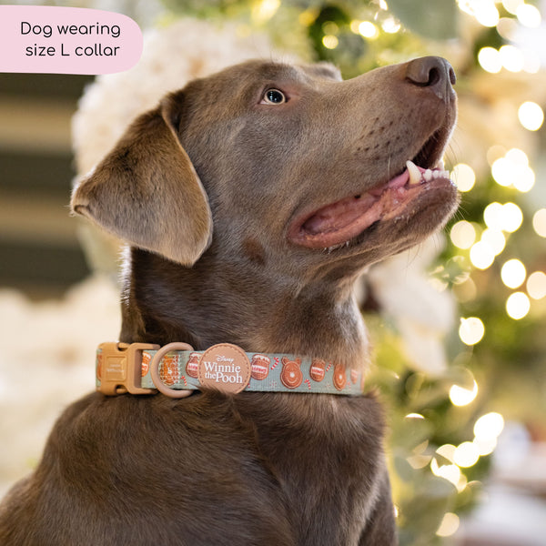 Disney© Collar - Gingerbread Bear Sage