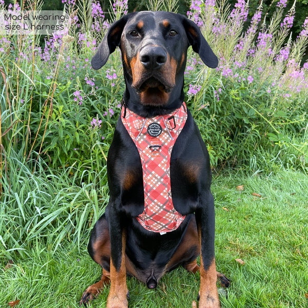 Tough Trails™ Harness - Pumpkin Plaid