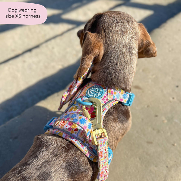 Tough Trails™ Harness -  Summer Vacay