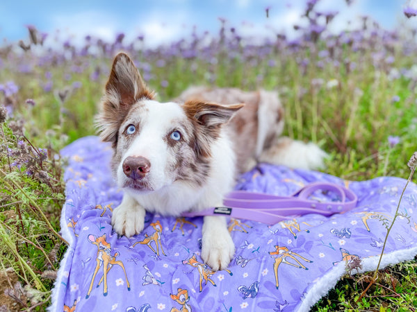 Disney© Dog Blanket - Bambi + Friends Lilac