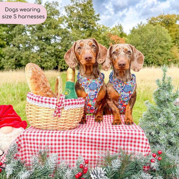 Disney© Tough Trails™ Harness - Lady + The Tramp