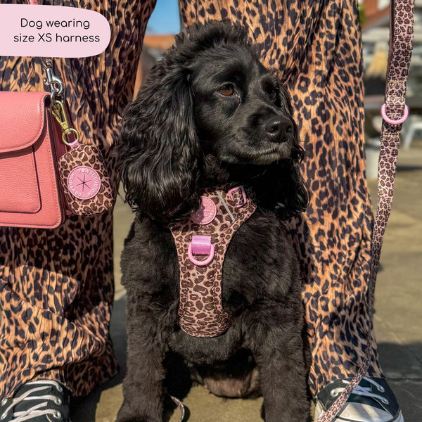 Tough Trails™ Harness -  Leopard Print
