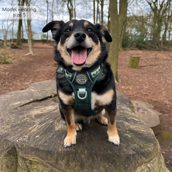 Tough Trails™ Harness - Walkies Ready® Forest Green