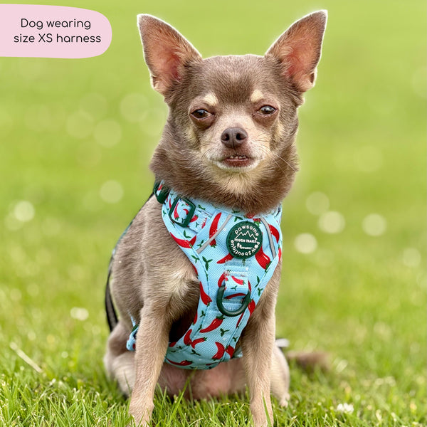 Tough Trails™ Harness - Stay Spicy