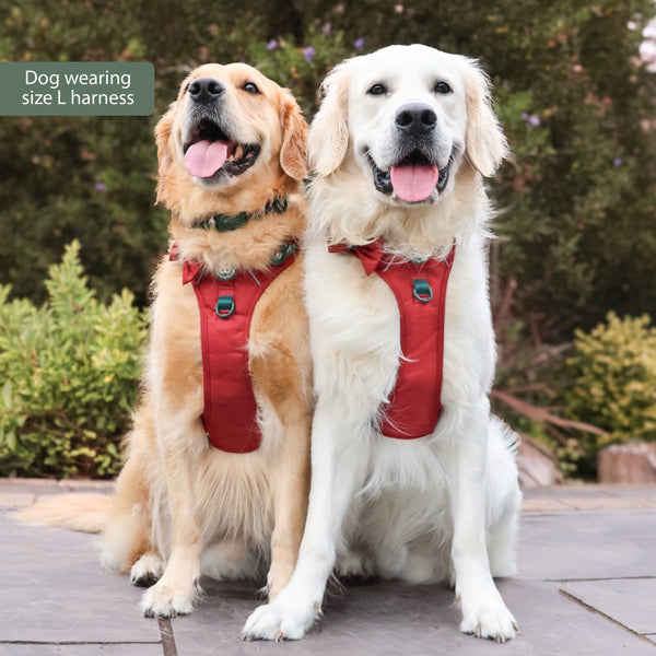 Tough Trails™ Harness - Walkies Ready® Snowy Mountains
