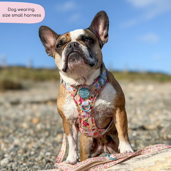 Tough Trails™ Harness -  Summer Vacay