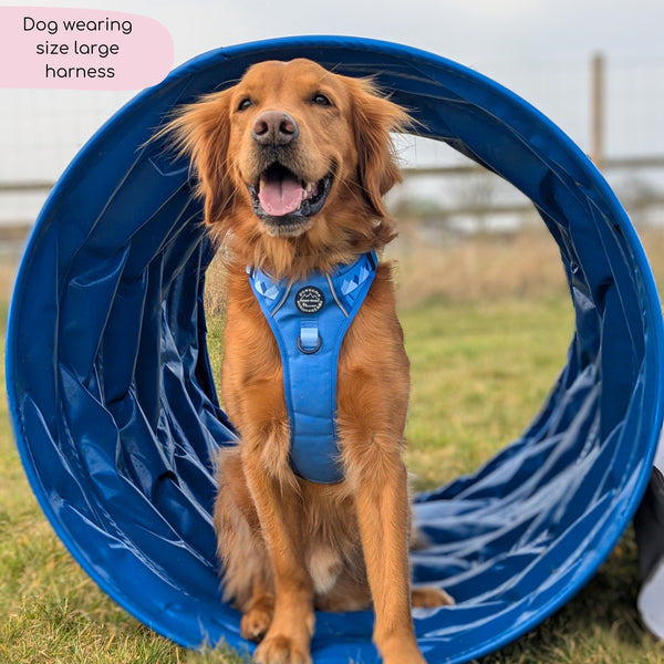 Tough Trails™ Harness - Walkies Ready® Cornflower Blue