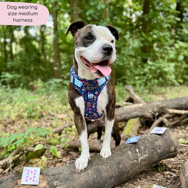 Tough Trails™ Harness - Alice In Wonderland