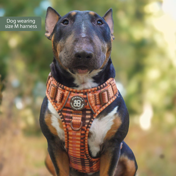 Tough Trails™ Harness -  Golden Acre