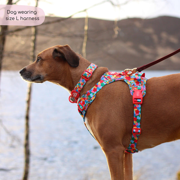 Disney© Tough Trails™ Harness - Winnie Goes Retro