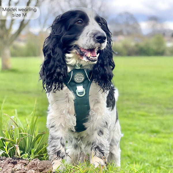 Tough Trails™ Harness - Walkies Ready® Forest Green