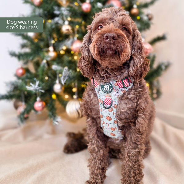 Tough Trails™ Harness -  Milk & Cookies