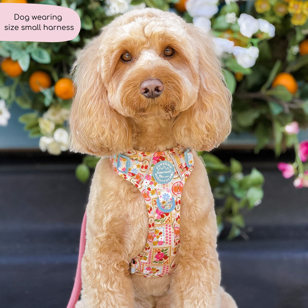 Tough Trails™ Harness -  Summer Vacay