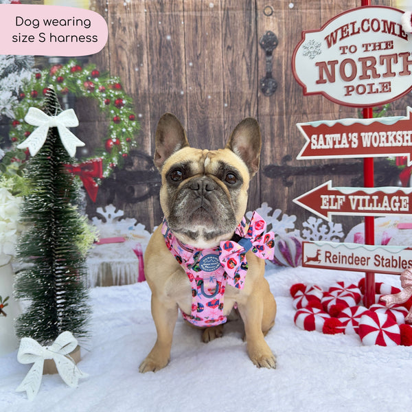 Disney© Tough Trails™ Harness - Princess