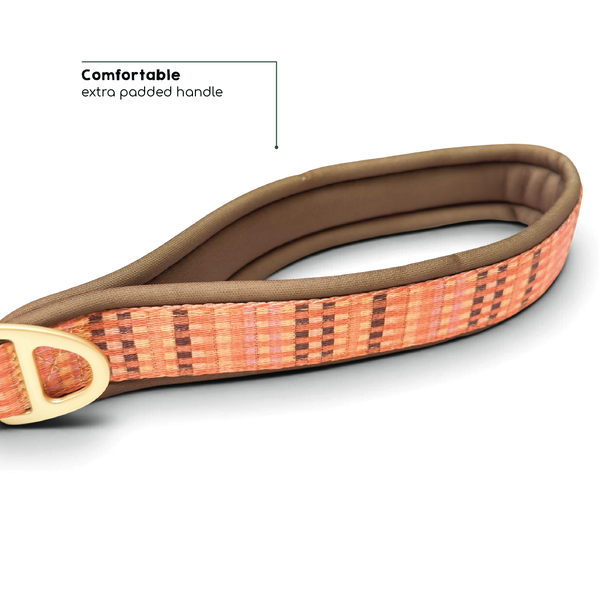 AdjustFit Lead - Golden Acre