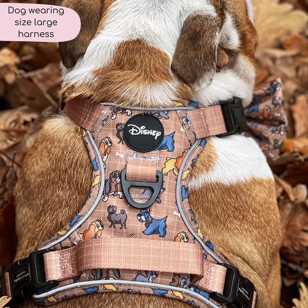 Disney© Tough Trails™ Harness - Disney Dogs