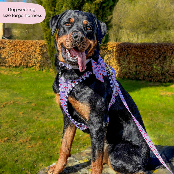 Tough Trails™ Harness -  Cherry Bomb