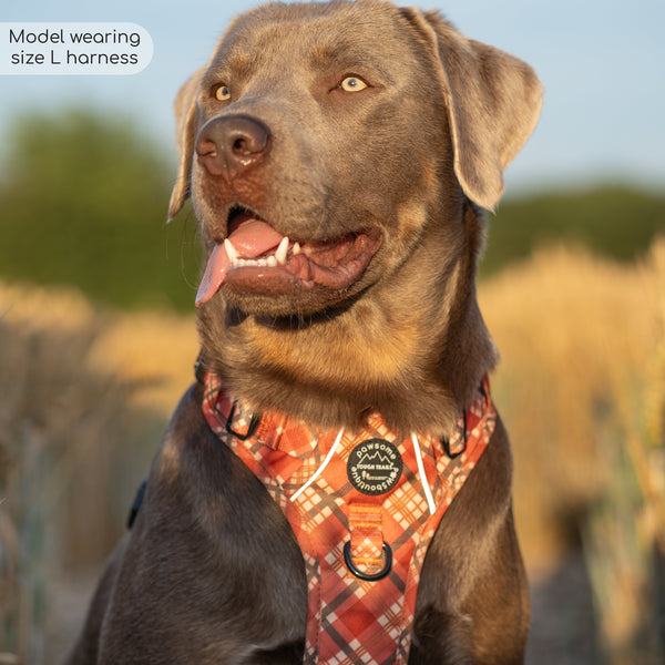 Tough Trails™ Harness - Pumpkin Plaid