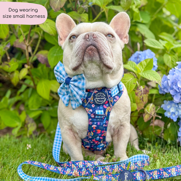 Tough Trails™ Harness - Alice In Wonderland