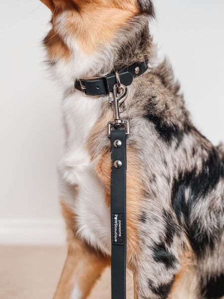 Waterproof Collar - Black - Silver Hardware