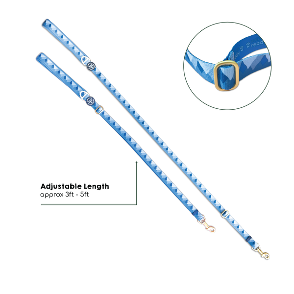 AdjustFit Lead - Walkies Ready® Cornflower Blue