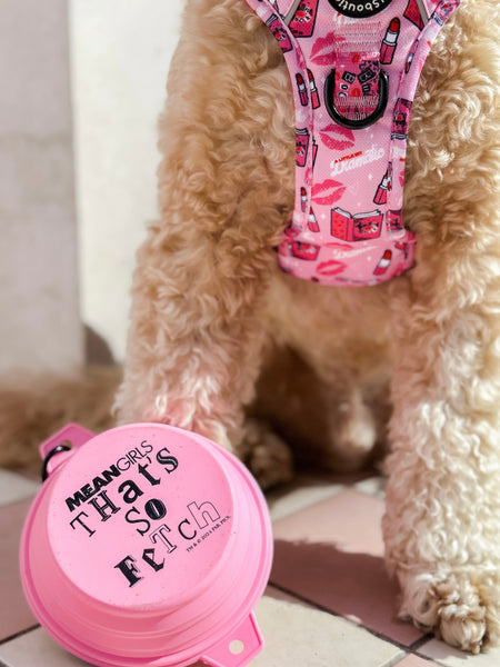 Collapsible Dog Bowl - Mean Girls