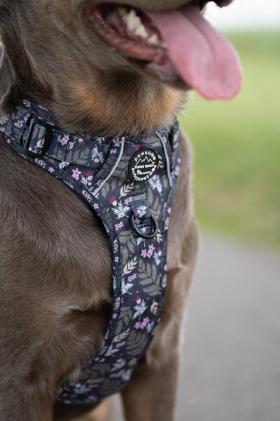 Tough Trails™ Harness - Midnight Garden