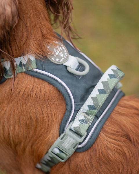 Tough Trails™ Harness - Walkies Ready® Forest Green