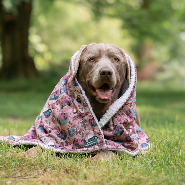 Dog Blanket - Adventure Awaits
