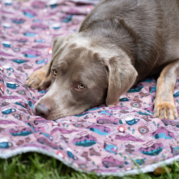 Dog Blanket - Adventure Awaits