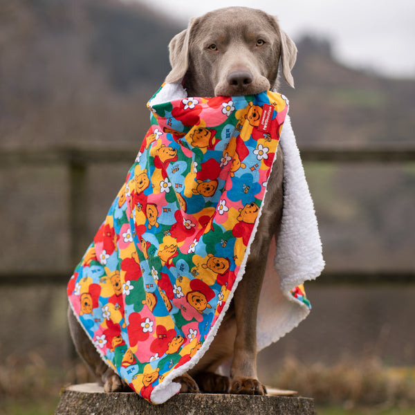Disney© Dog Blanket - Winnie Goes Retro