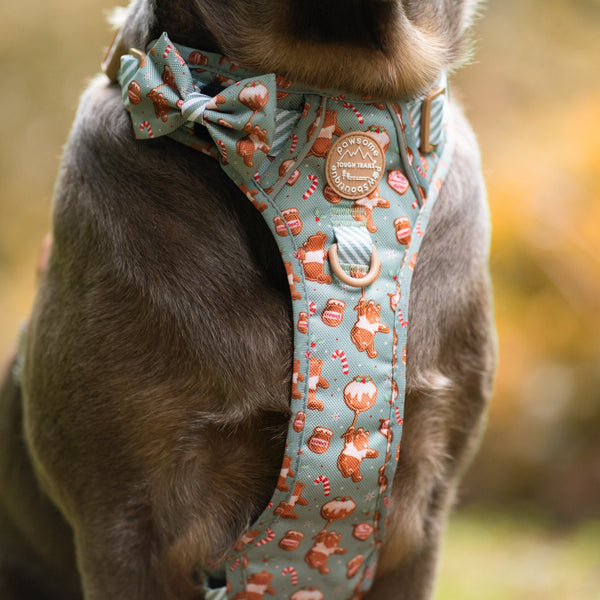 Disney© Bow Tie - Gingerbread Bear Sage