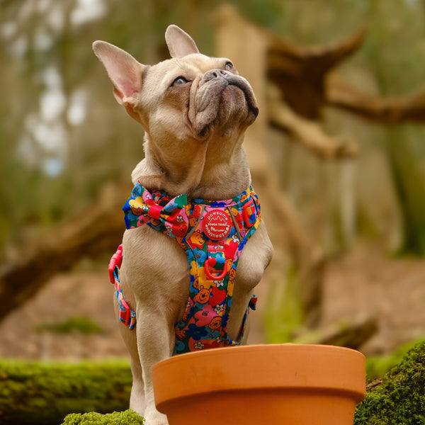 Disney© Bow Tie - Winnie Goes Retro