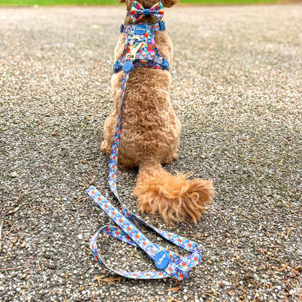 Disney© Lead - Lady + The Tramp