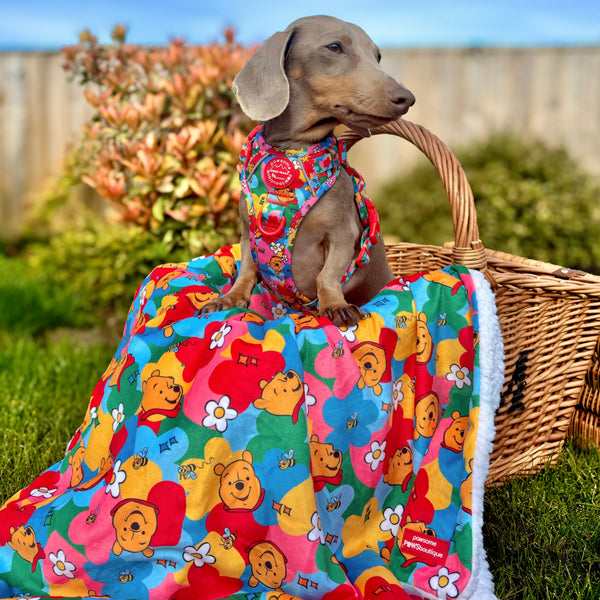 Disney© Dog Blanket - Winnie Goes Retro