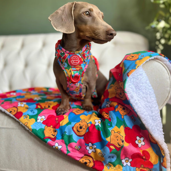Disney© Dog Blanket - Winnie Goes Retro