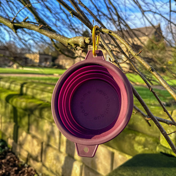 Collapsible Dog Bowl -Plum