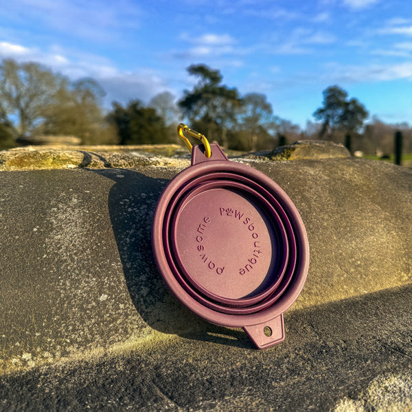 Collapsible Dog Bowl -Plum