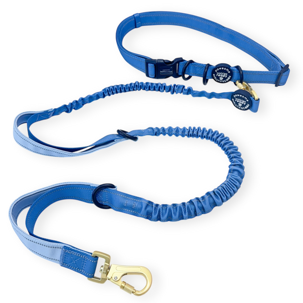 Handsfree Lead - Walkies Ready® Cornflower Blue