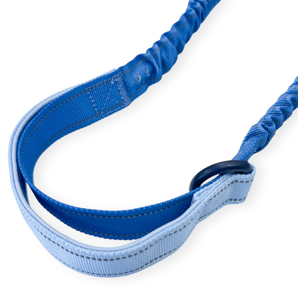 Handsfree Lead - Walkies Ready® Cornflower Blue