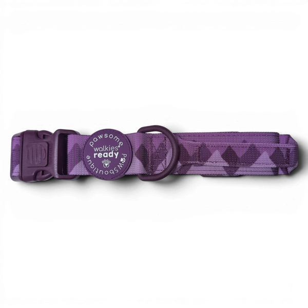 Adventure Collar - Plum (Size Large Only)