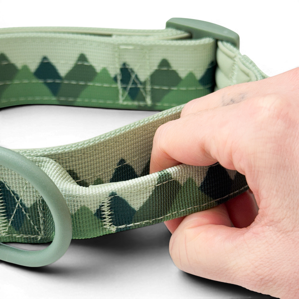 Adventure Collar - Forest Green (Size Large Only)