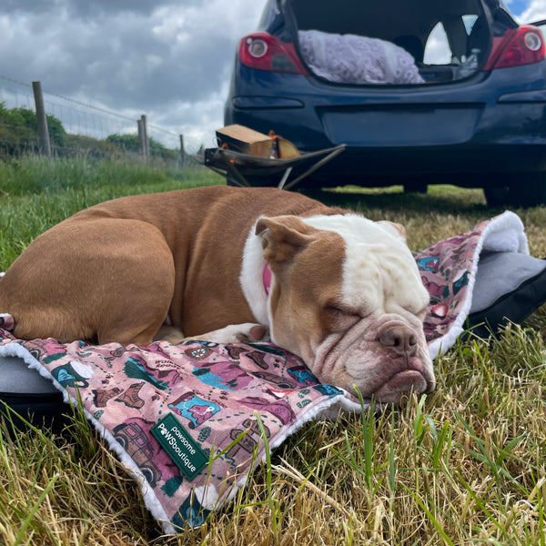 Dog Blanket - Adventure Awaits