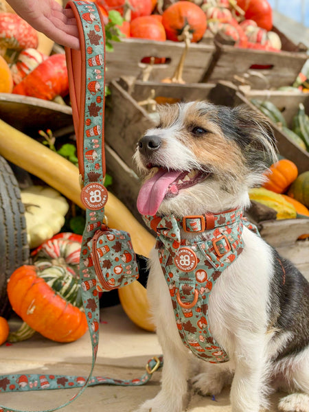 Poo Bag Holder - Pumpkin Spice