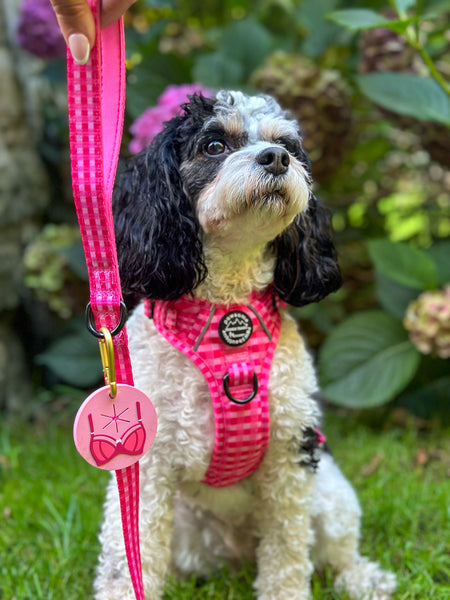Pawsome Poop Pocket -  Paws To Check