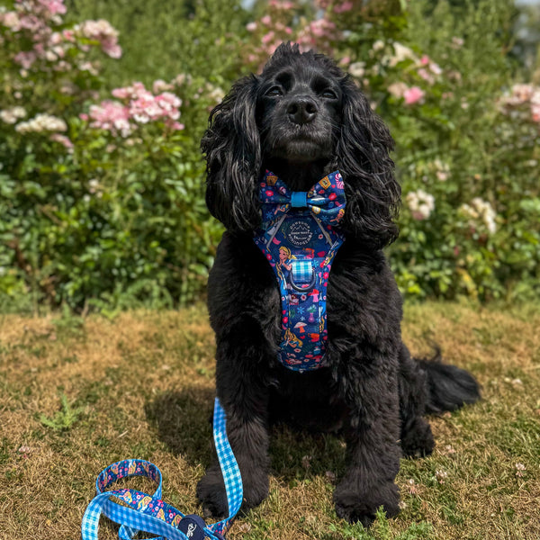 Bow Tie - Alice In Wonderland