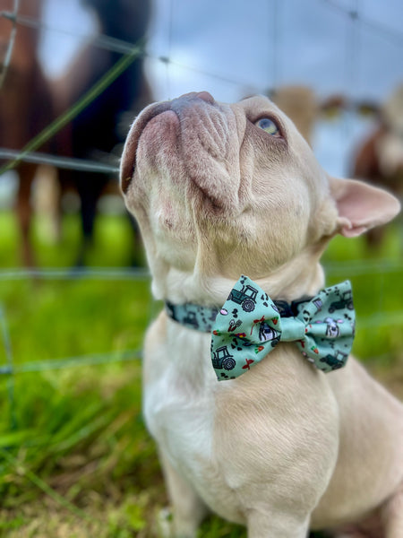 Bow Tie - Deja Moo - Green