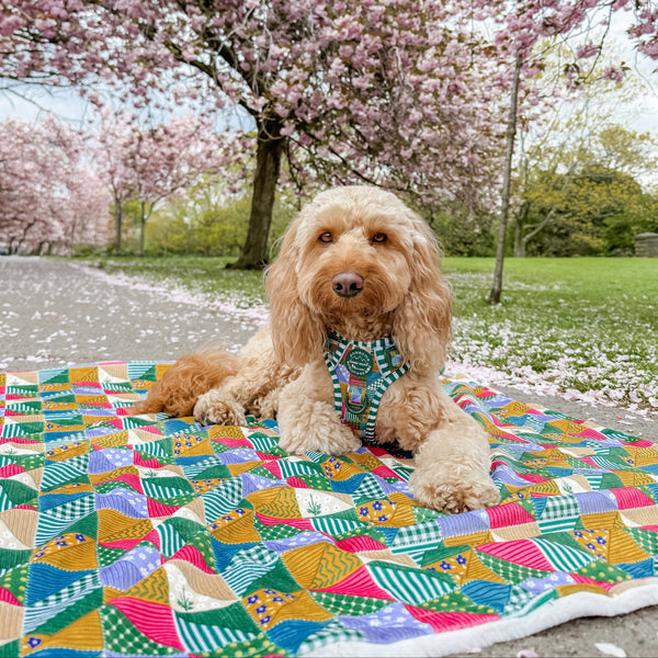 Dog Blanket - Patchwork